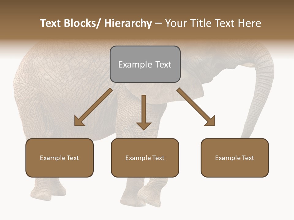 Loxodonta Ivory Safari PowerPoint Template