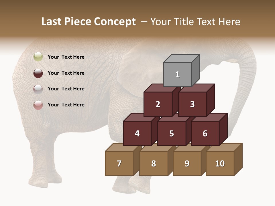Loxodonta Ivory Safari PowerPoint Template
