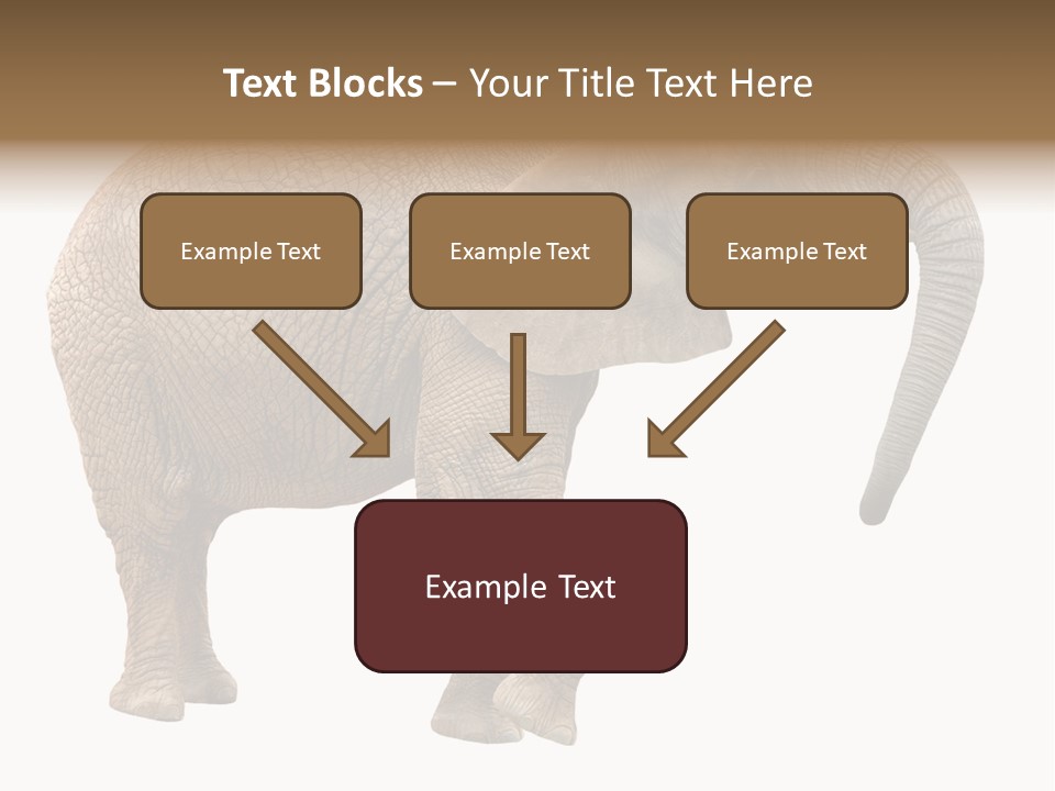 Loxodonta Ivory Safari PowerPoint Template