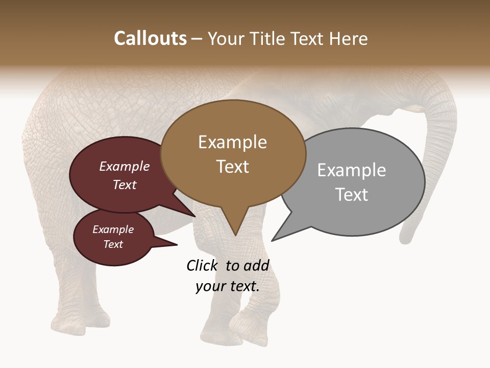 Loxodonta Ivory Safari PowerPoint Template