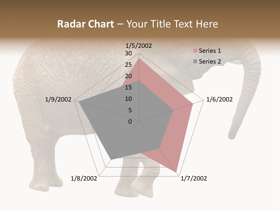 Loxodonta Ivory Safari PowerPoint Template
