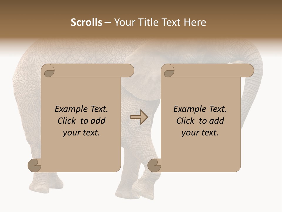 Loxodonta Ivory Safari PowerPoint Template