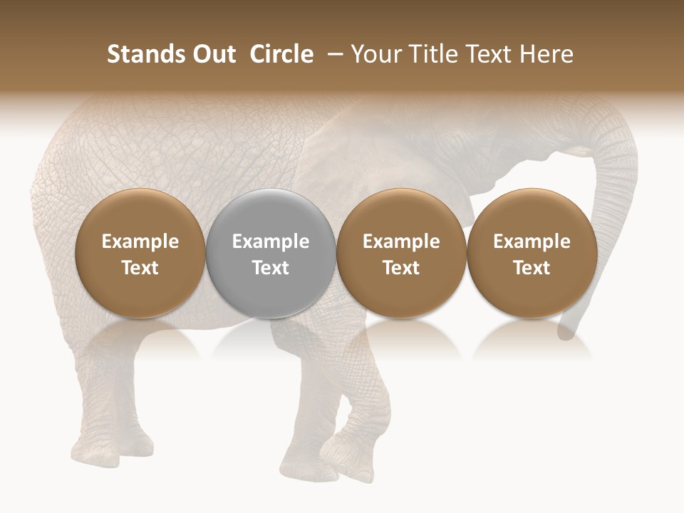 Loxodonta Ivory Safari PowerPoint Template
