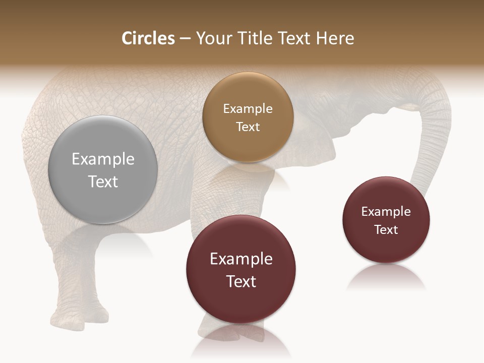 Loxodonta Ivory Safari PowerPoint Template