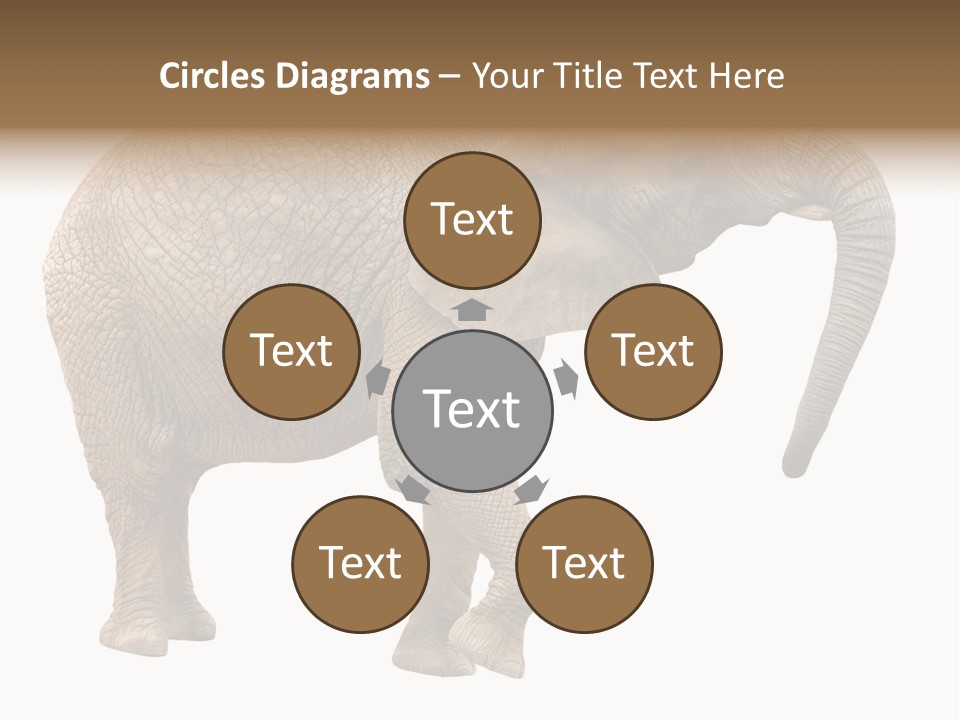 Loxodonta Ivory Safari PowerPoint Template