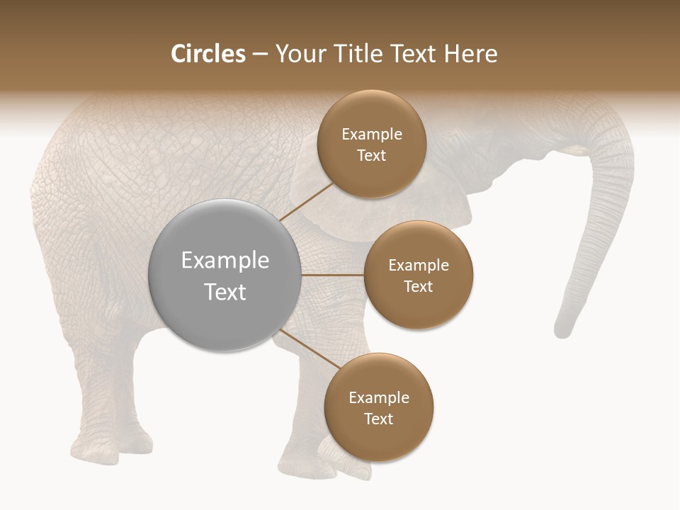 Loxodonta Ivory Safari PowerPoint Template