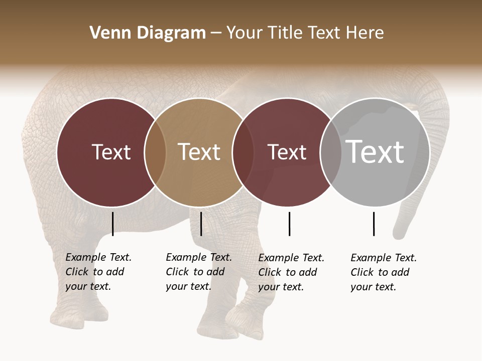 Loxodonta Ivory Safari PowerPoint Template