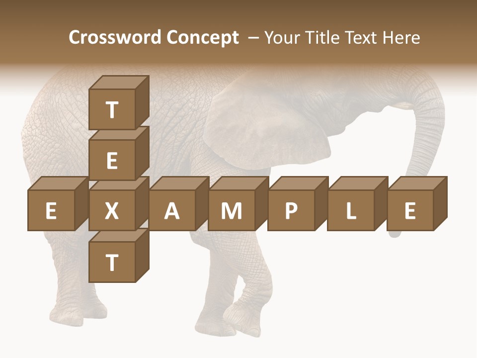 Loxodonta Ivory Safari PowerPoint Template