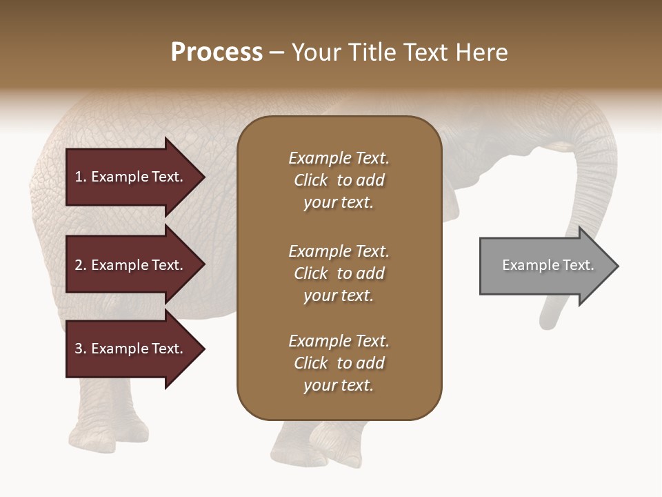 Loxodonta Ivory Safari PowerPoint Template
