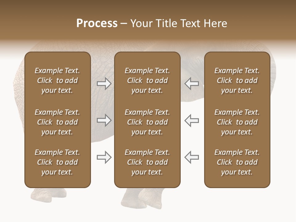 Loxodonta Ivory Safari PowerPoint Template