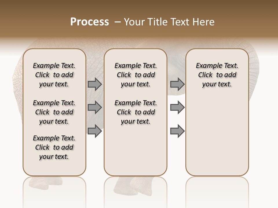 Loxodonta Ivory Safari PowerPoint Template