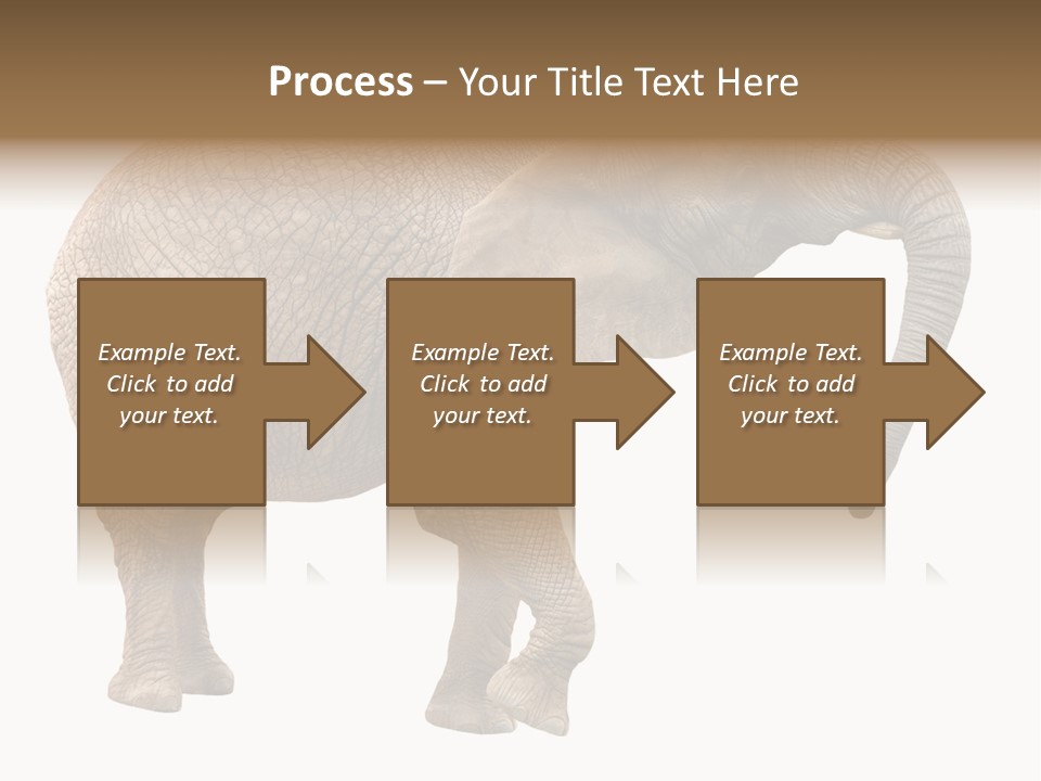 Loxodonta Ivory Safari PowerPoint Template