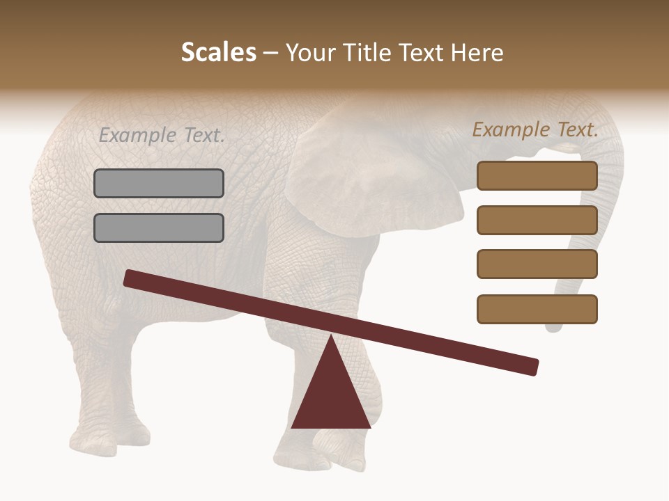Loxodonta Ivory Safari PowerPoint Template