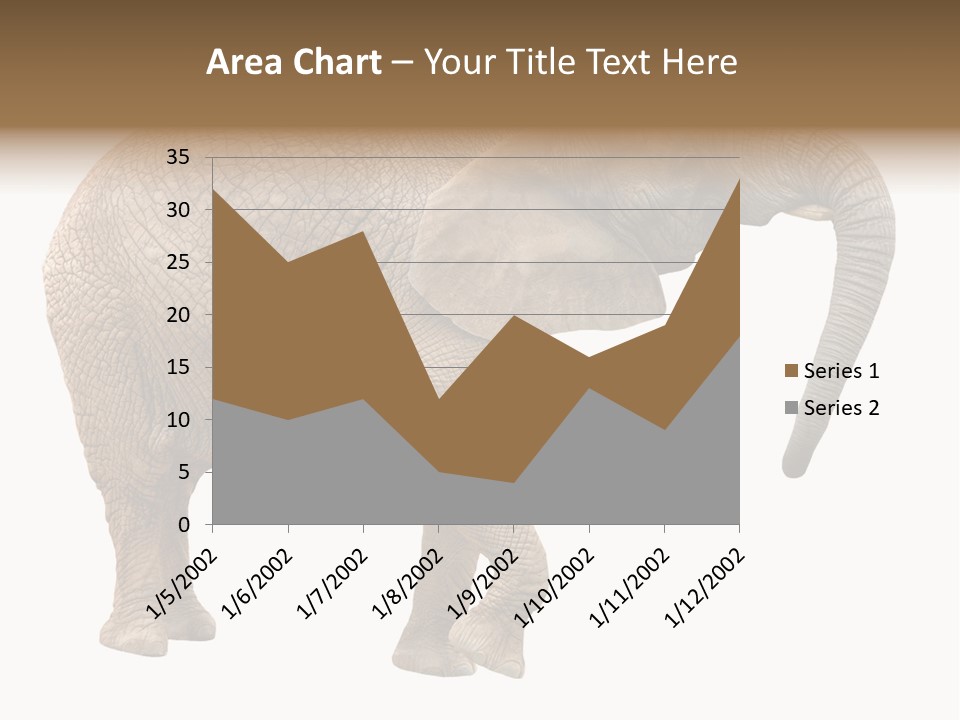 Loxodonta Ivory Safari PowerPoint Template