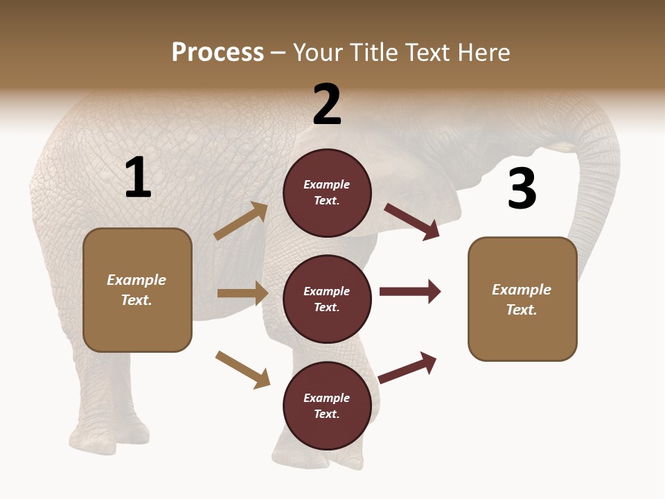 Loxodonta Ivory Safari PowerPoint Template