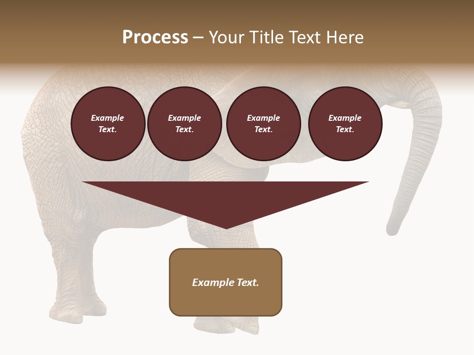 Loxodonta Ivory Safari PowerPoint Template