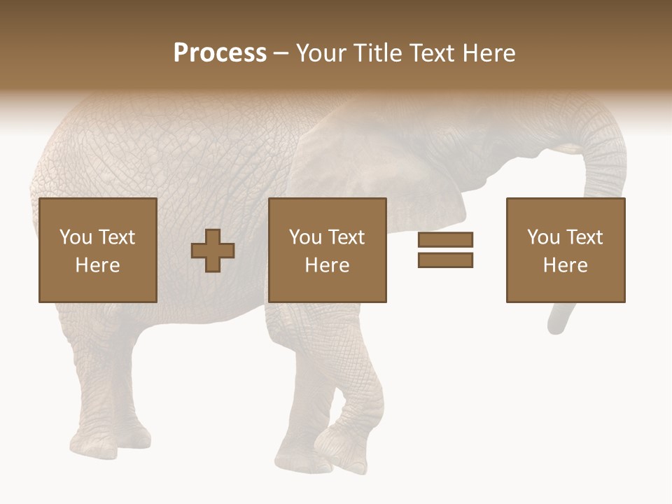 Loxodonta Ivory Safari PowerPoint Template