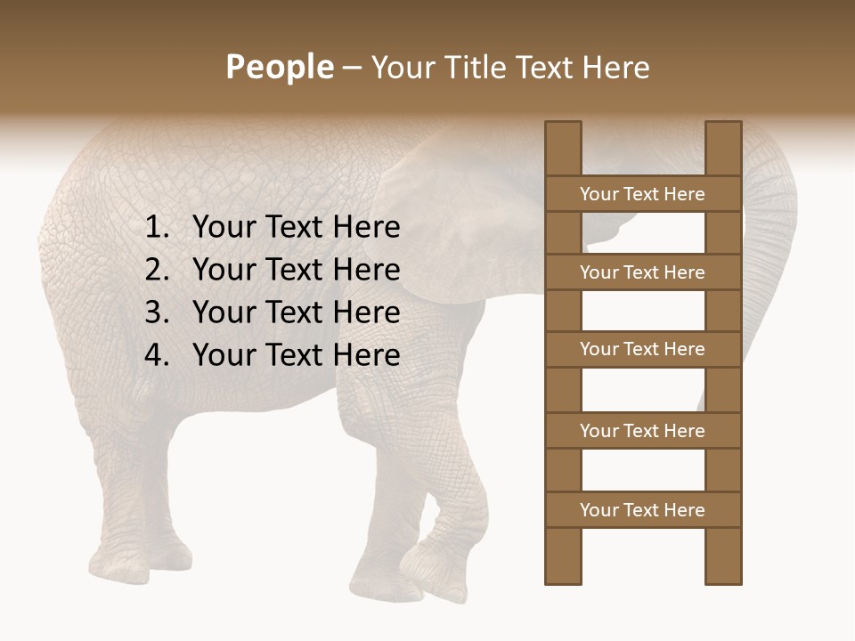 Loxodonta Ivory Safari PowerPoint Template