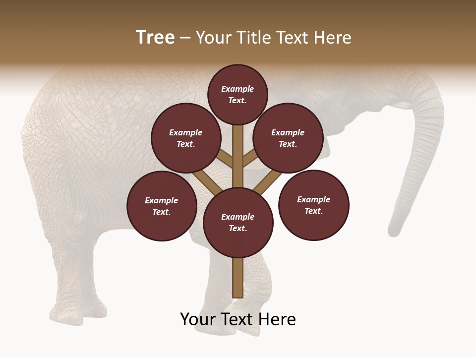 Loxodonta Ivory Safari PowerPoint Template