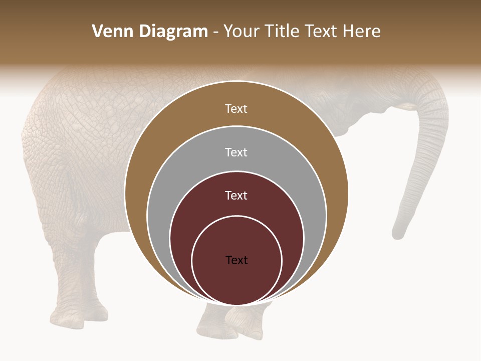 Loxodonta Ivory Safari PowerPoint Template