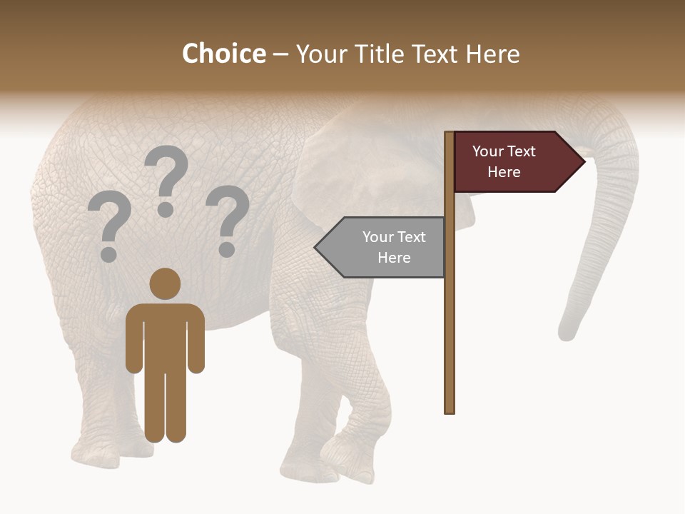 Loxodonta Ivory Safari PowerPoint Template