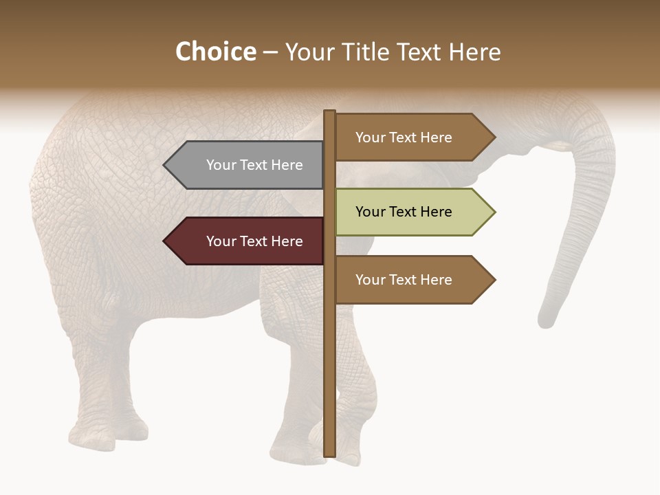 Loxodonta Ivory Safari PowerPoint Template