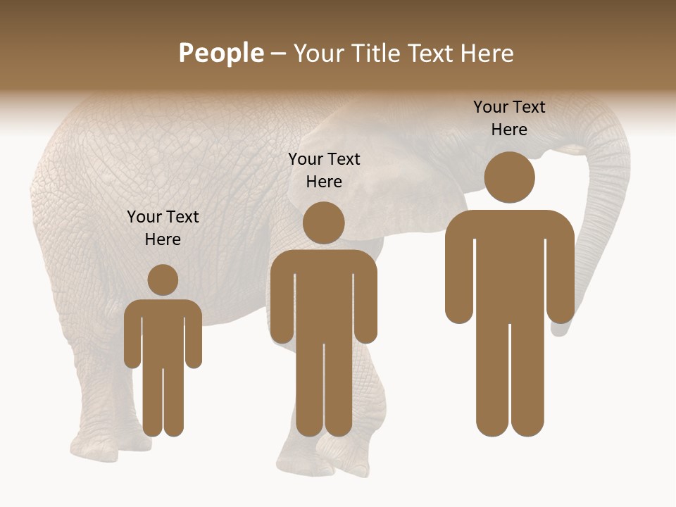 Loxodonta Ivory Safari PowerPoint Template