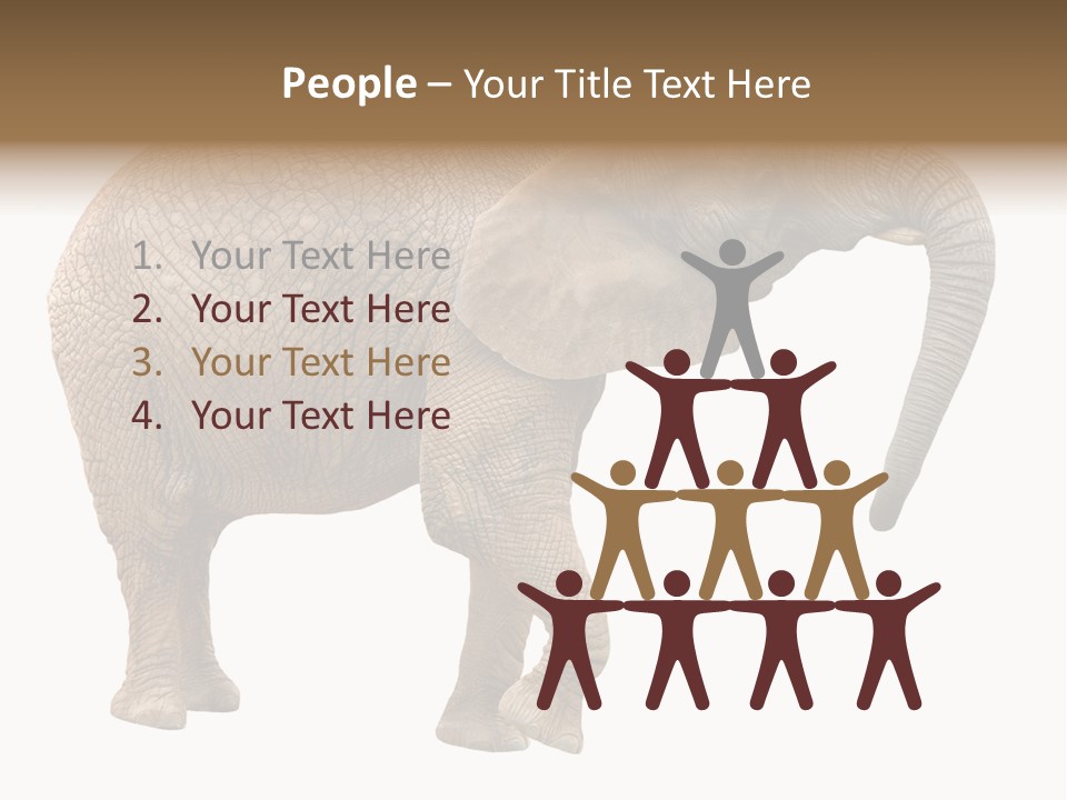 Loxodonta Ivory Safari PowerPoint Template