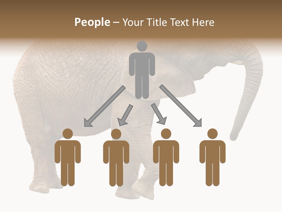 Loxodonta Ivory Safari PowerPoint Template