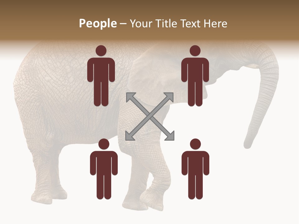Loxodonta Ivory Safari PowerPoint Template
