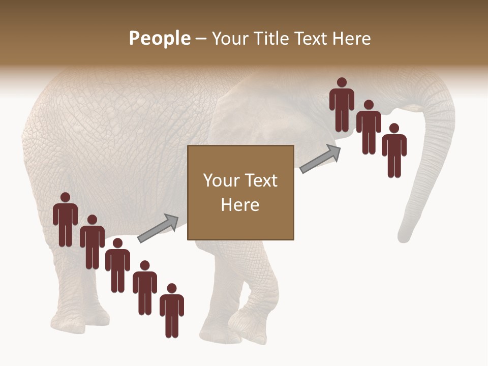 Loxodonta Ivory Safari PowerPoint Template