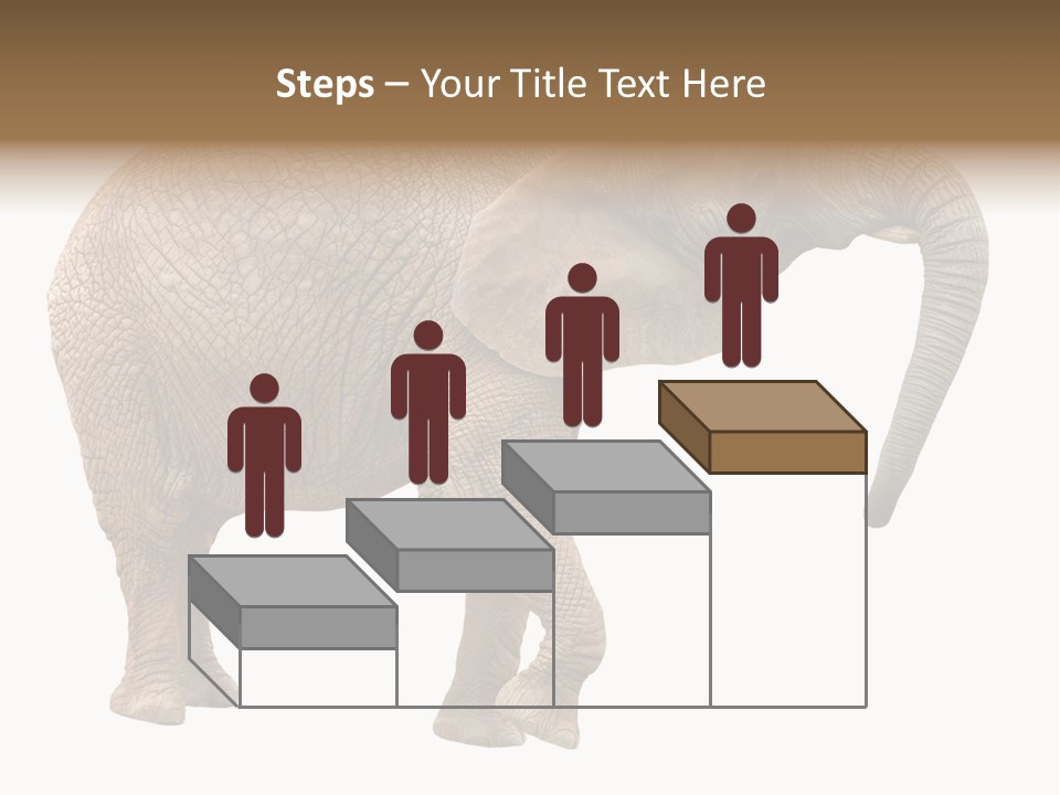 Loxodonta Ivory Safari PowerPoint Template