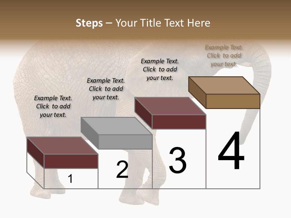 Loxodonta Ivory Safari PowerPoint Template