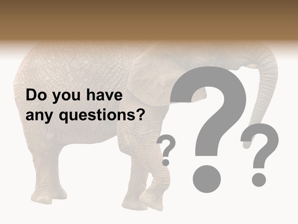 Loxodonta Ivory Safari PowerPoint Template