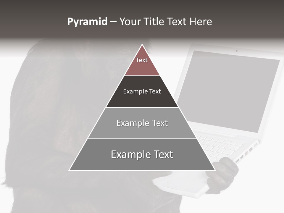 Keyboard Exercising Working PowerPoint Template