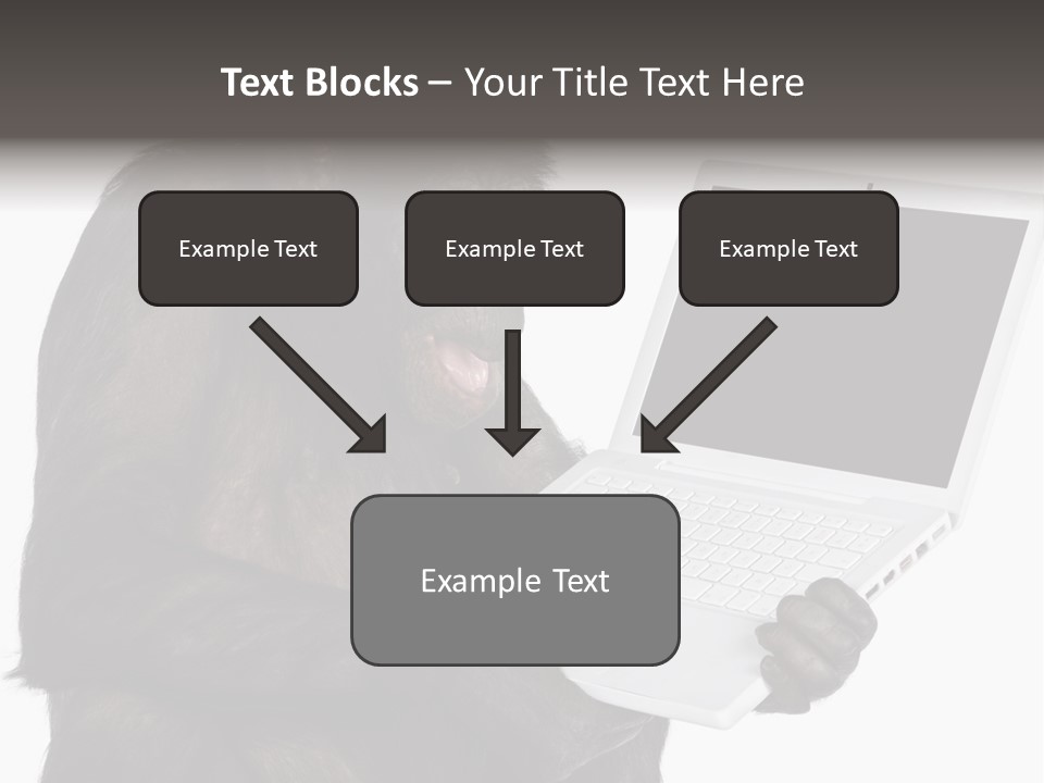 Keyboard Exercising Working PowerPoint Template