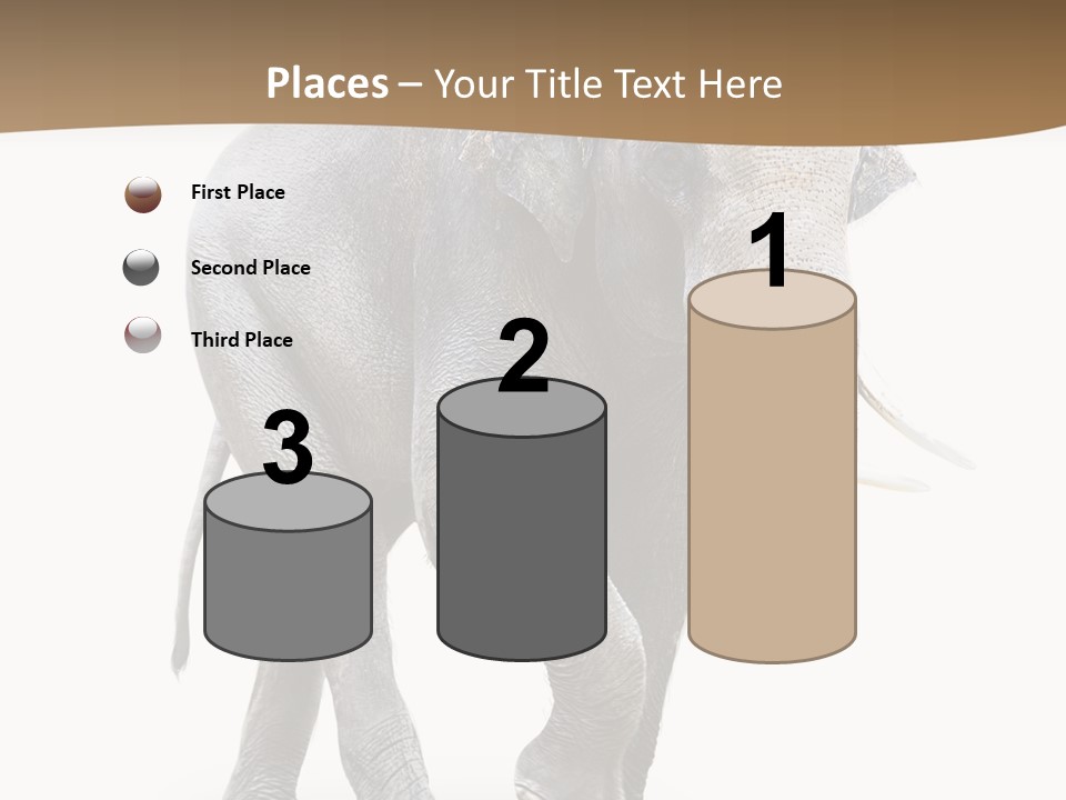 Elefanten Laufen Zirkus PowerPoint Template