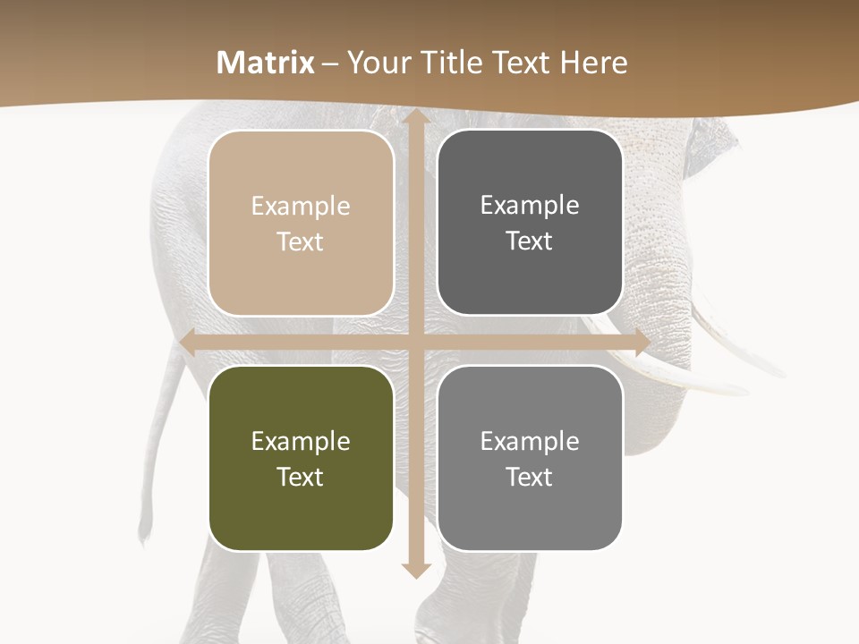 Elefanten Laufen Zirkus PowerPoint Template