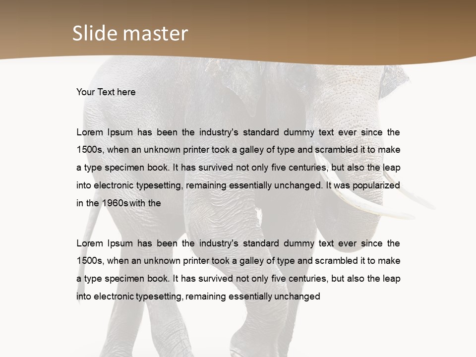 Elefanten Laufen Zirkus PowerPoint Template