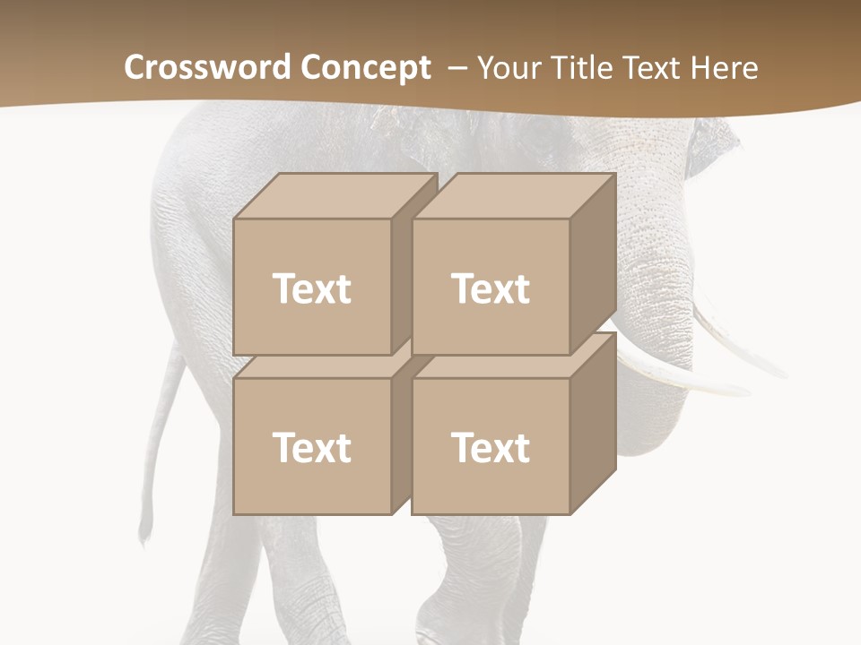 Elefanten Laufen Zirkus PowerPoint Template