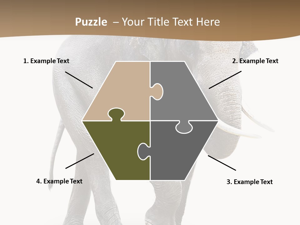 Elefanten Laufen Zirkus PowerPoint Template