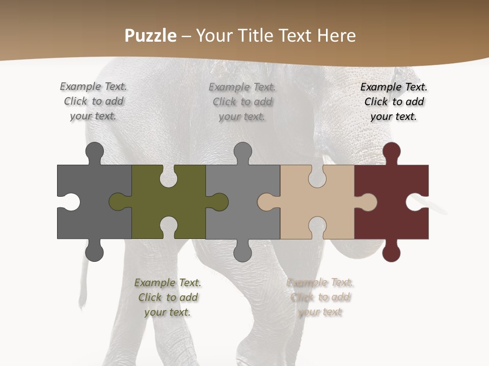 Elefanten Laufen Zirkus PowerPoint Template