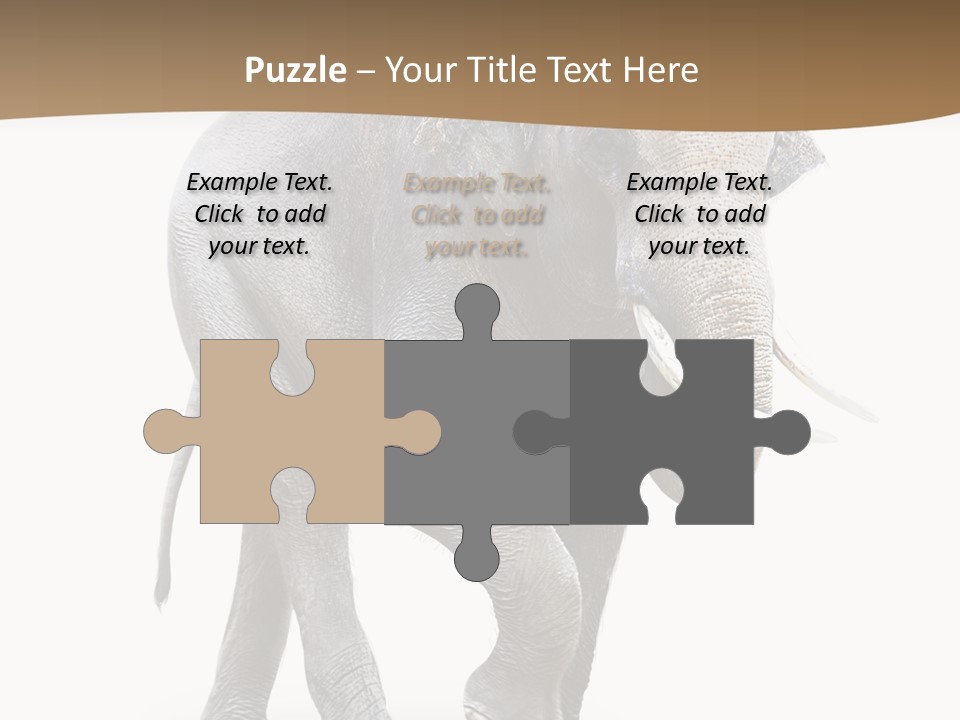 Elefanten Laufen Zirkus PowerPoint Template