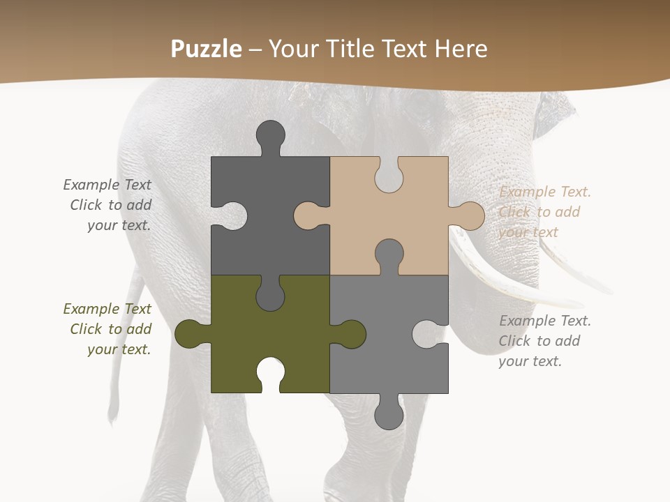 Elefanten Laufen Zirkus PowerPoint Template