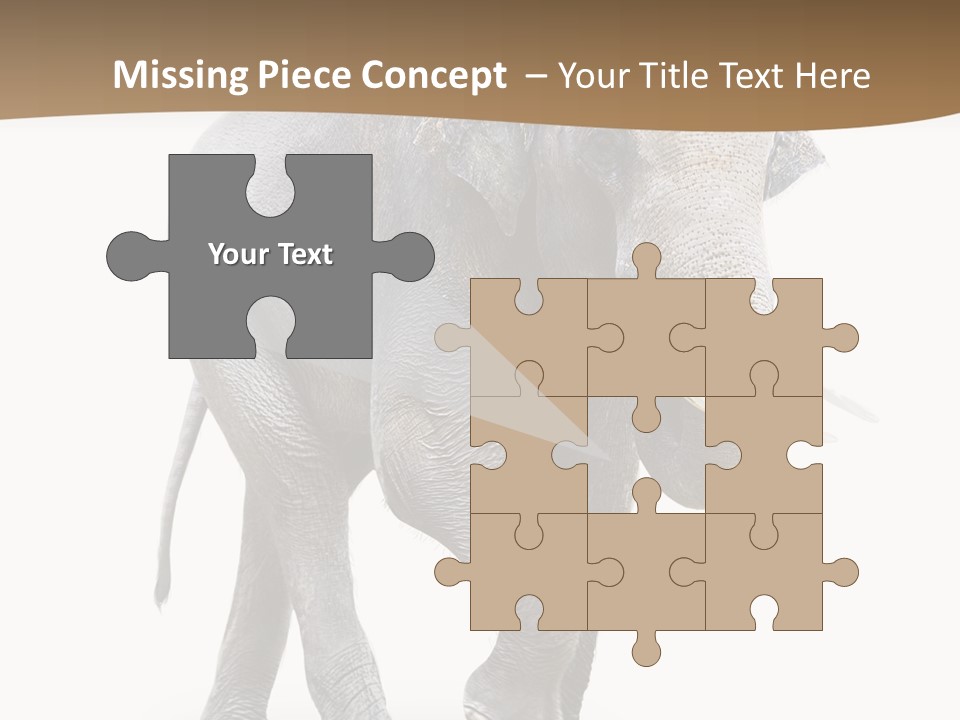 Elefanten Laufen Zirkus PowerPoint Template