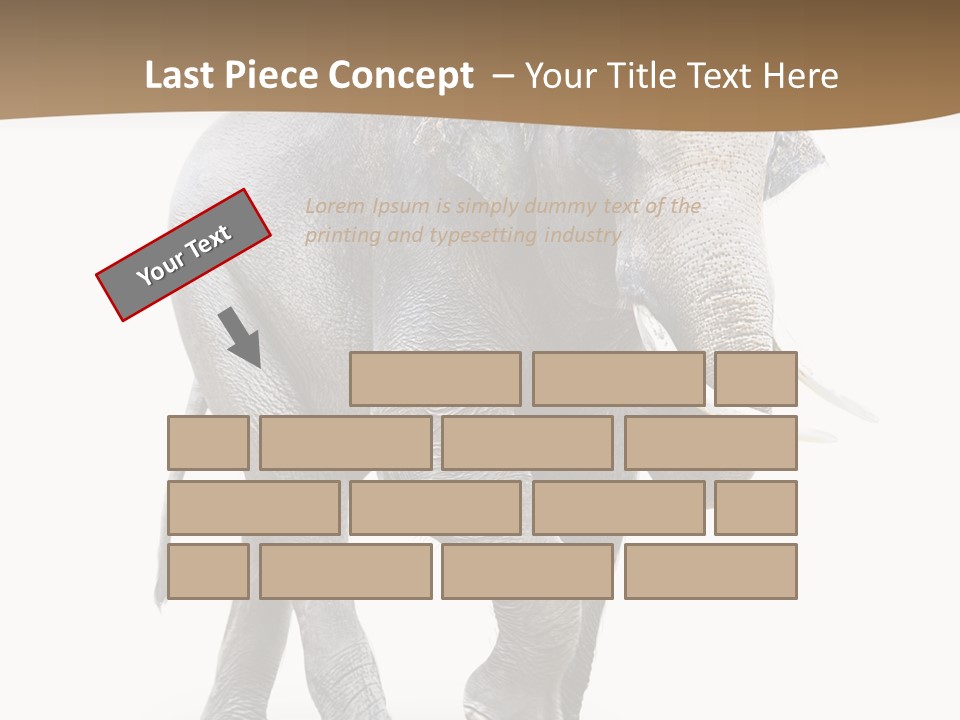 Elefanten Laufen Zirkus PowerPoint Template