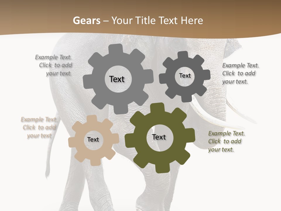 Elefanten Laufen Zirkus PowerPoint Template