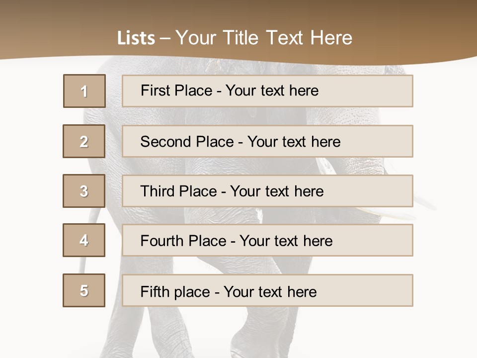 Elefanten Laufen Zirkus PowerPoint Template