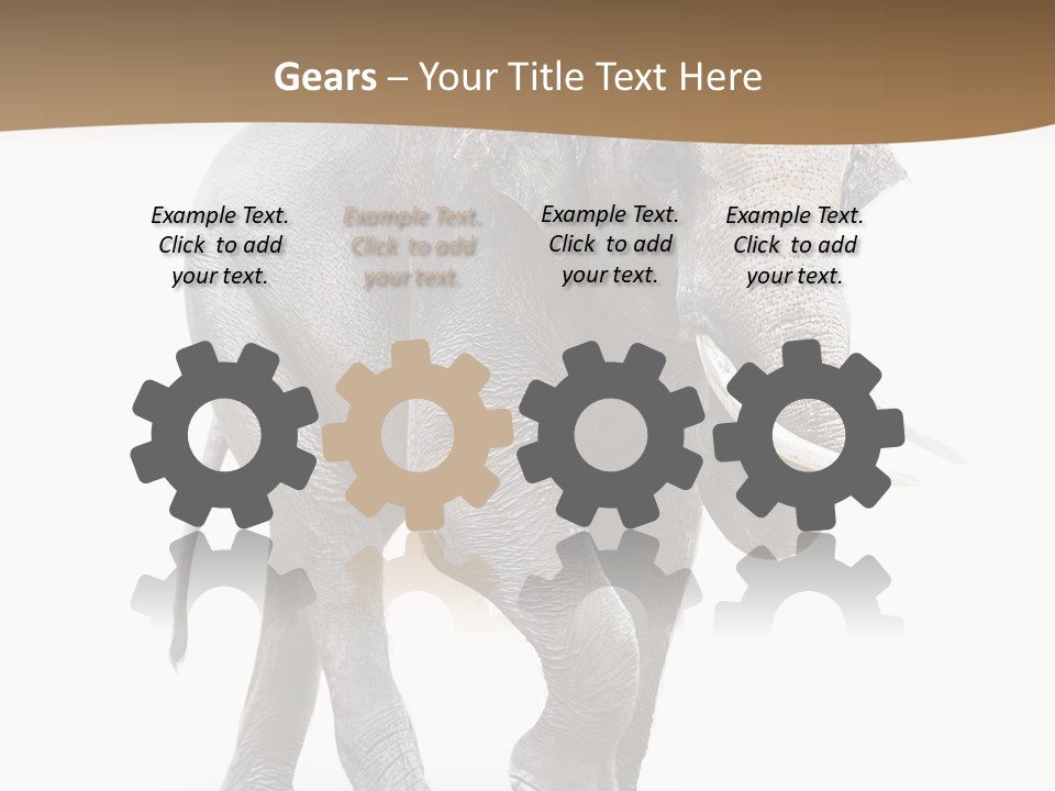 Elefanten Laufen Zirkus PowerPoint Template