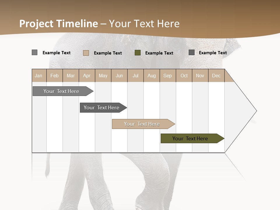 Elefanten Laufen Zirkus PowerPoint Template